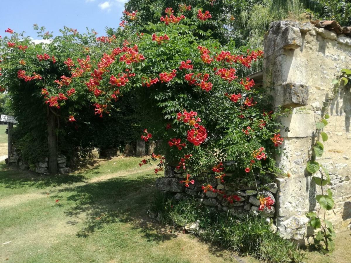 le gite des 3 saules Saint-Savinien Extérieur photo