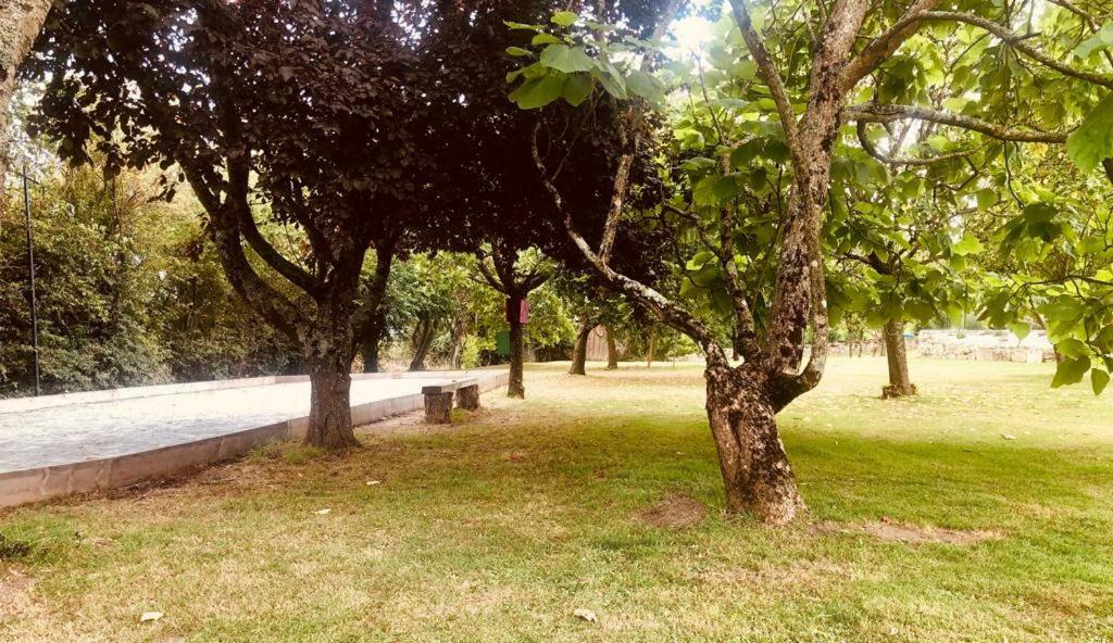 le gite des 3 saules Saint-Savinien Extérieur photo